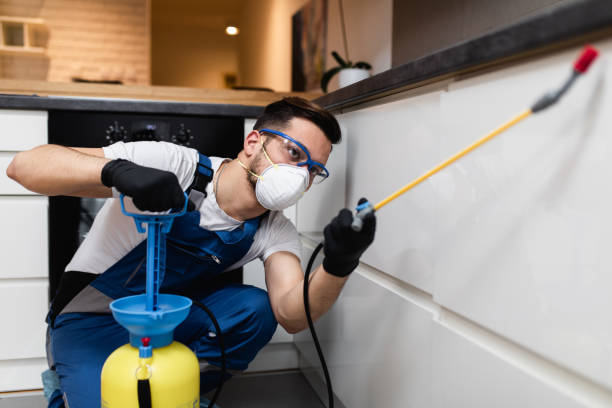 Wasp Removal Services in Carthage, IL