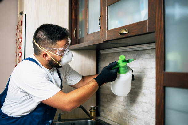 Insect Control in Carthage, IL