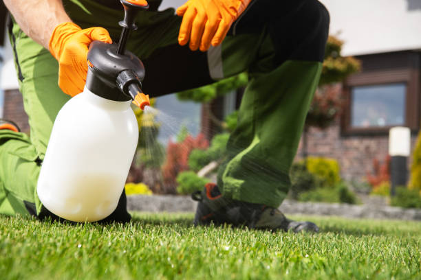 Best Best Pest Control Companies  in Carthage, IL