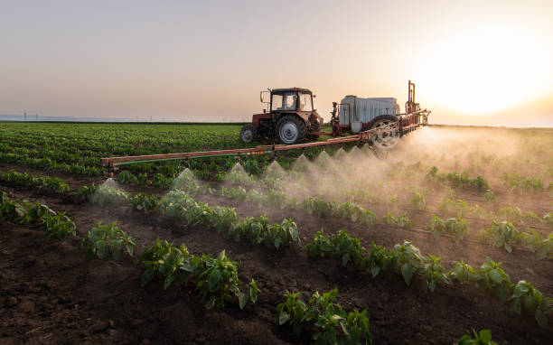 Best Commercial Pest Control Services  in Carthage, IL