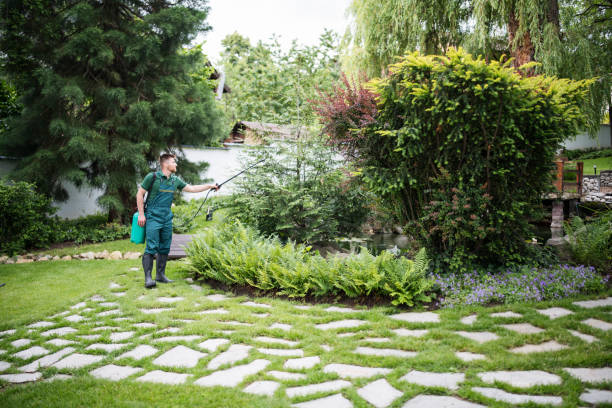 Best Commercial Pest Control Services  in Carthage, IL