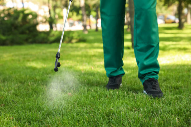 Best Best Pest Control Companies  in Carthage, IL
