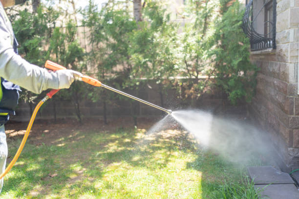 Best Local Pest Control Services  in Carthage, IL