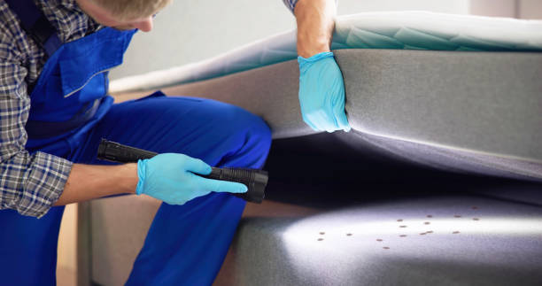 Best Pest Prevention Services  in Carthage, IL
