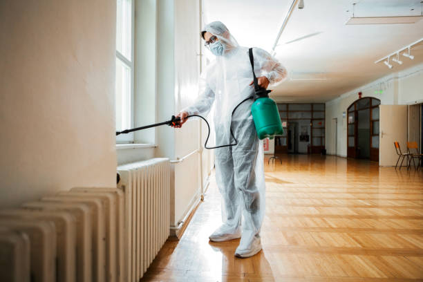 Best Wasp Removal Services  in Carthage, IL