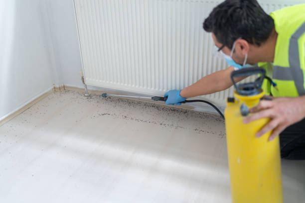 Best Affordable Pest Control Services  in Carthage, IL