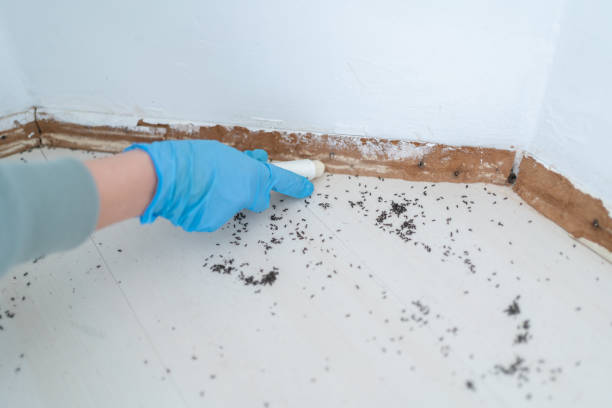 Pest Control Cost in Carthage, IL