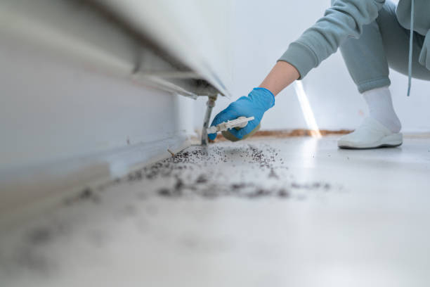 Best Pest Control for Restaurants  in Carthage, IL
