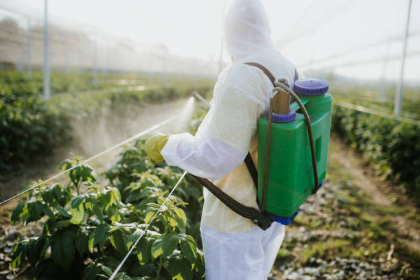 Flea Control Services in Carthage, IL
